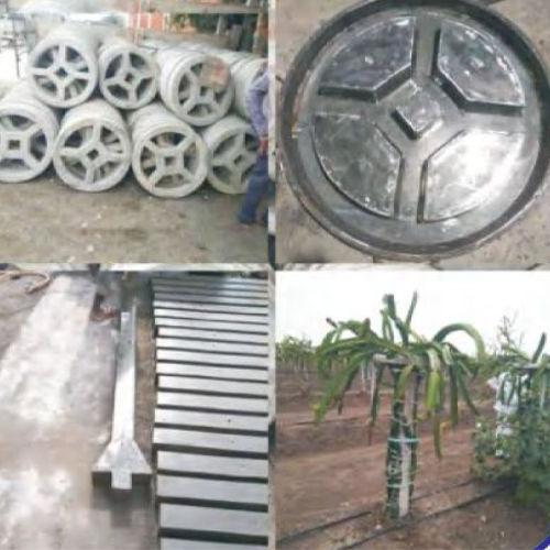 RCC Dragon Fruit Mould 