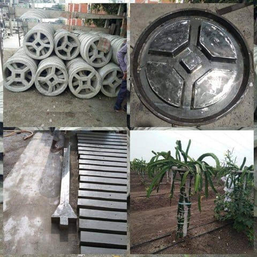 RCC Cement Dragon Fruit Mould